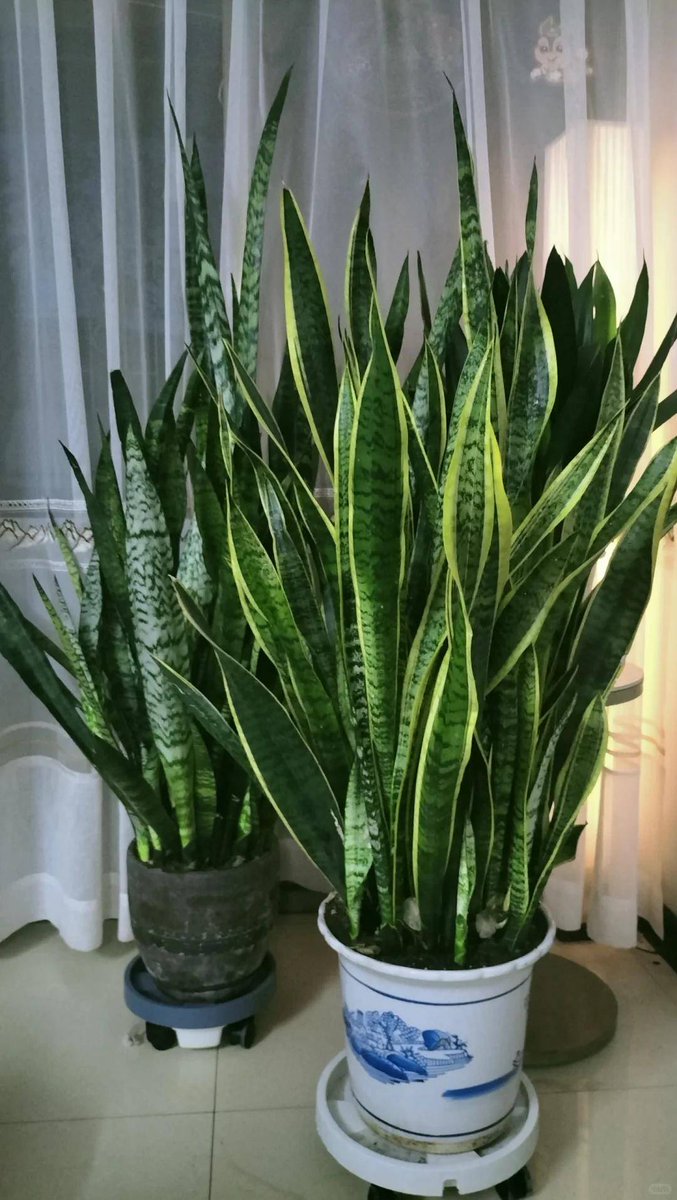 Stevie Haywood tweet media