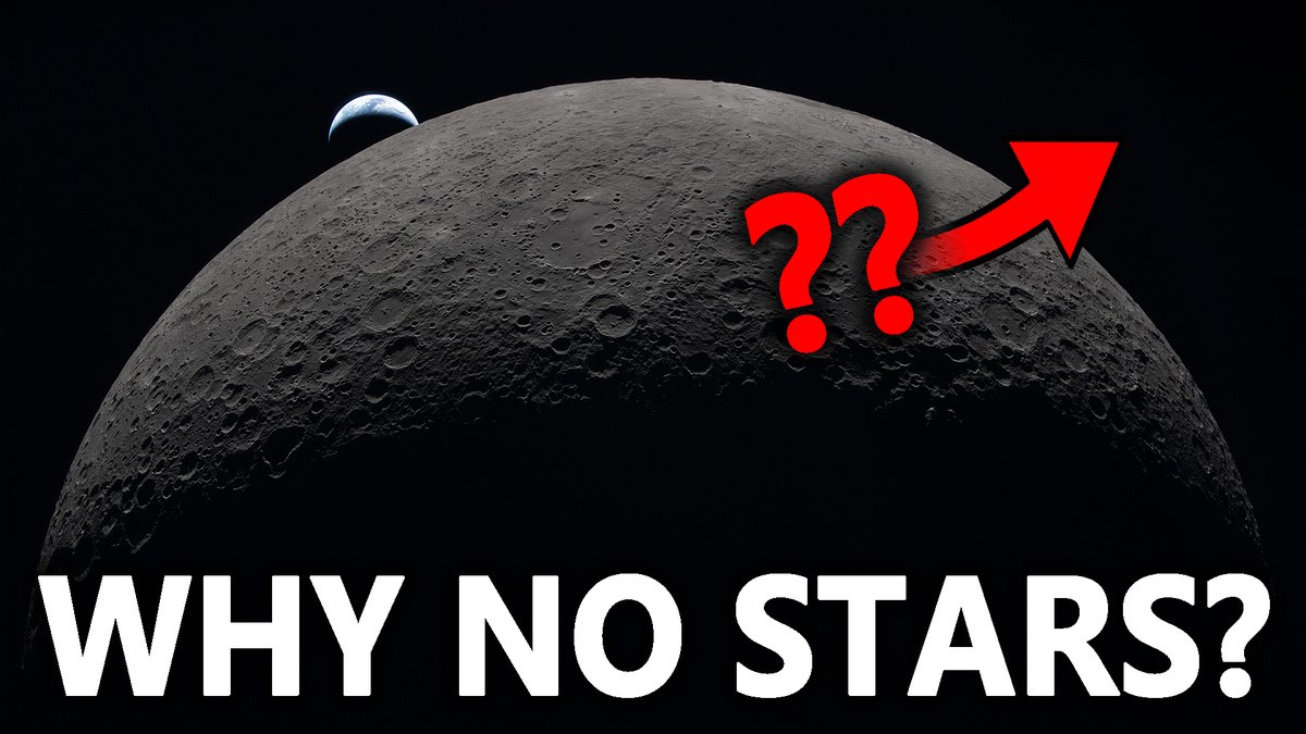 Stefan Burns tweet media