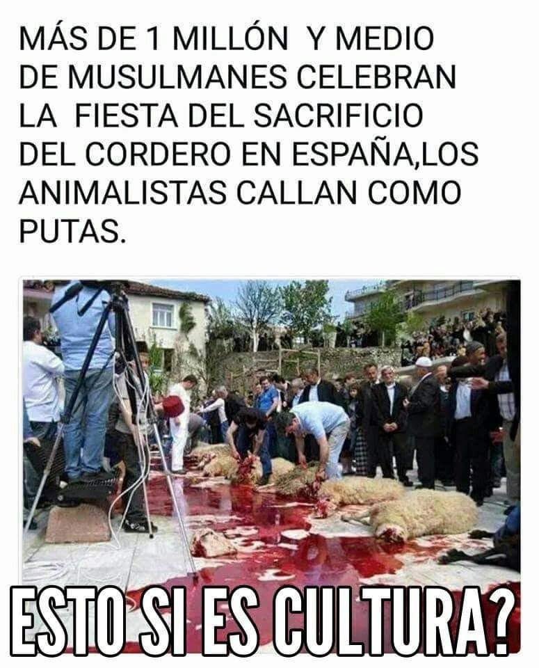 Rubia Inflexible (Miss Moss) tweet media