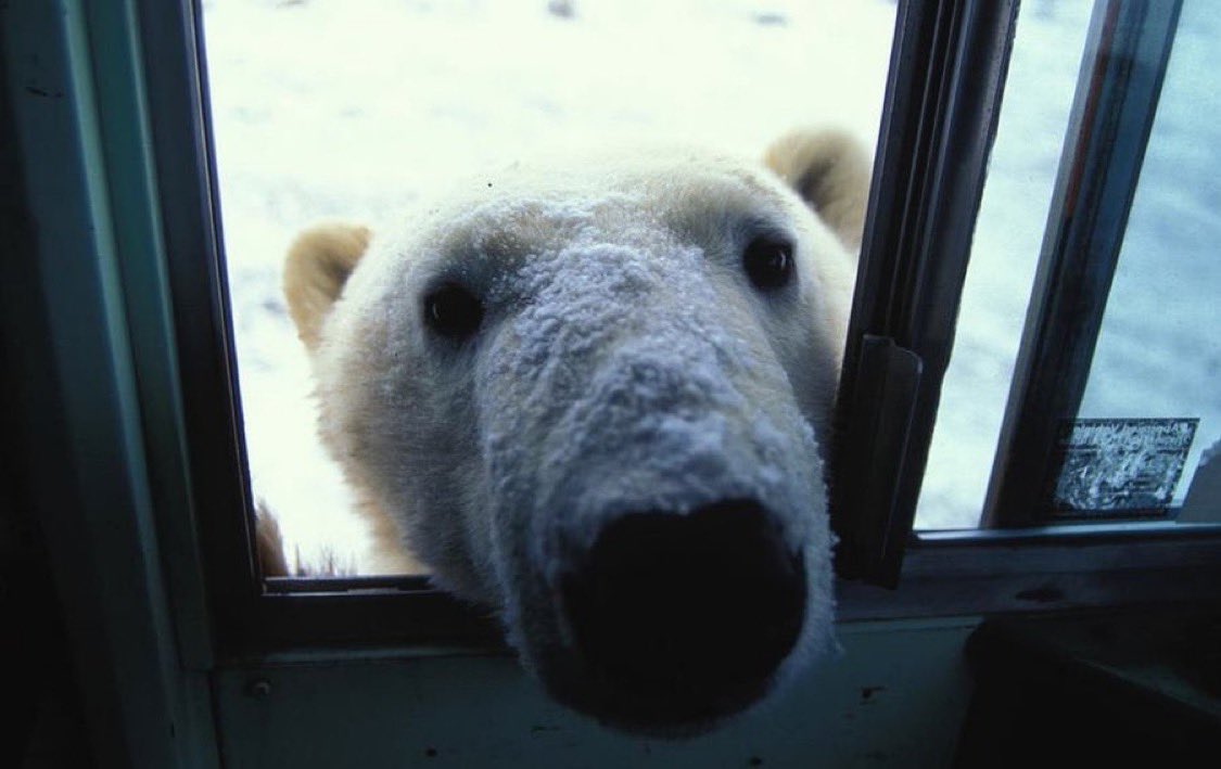 🌱 joey tweet media