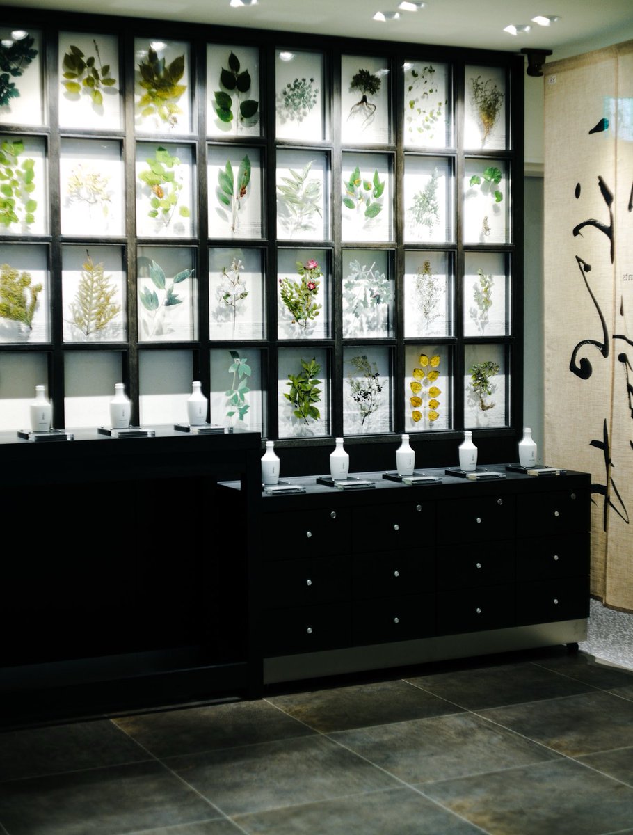 古谷知華 | 日本草木研究所 tweet media