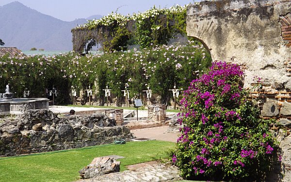 Noti News tweet media