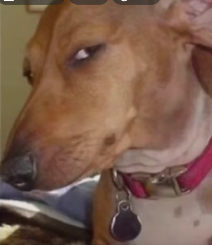 JaySaid_SO tweet media