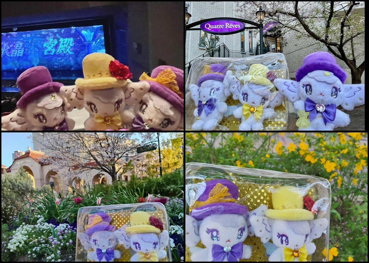 ひとぴ tweet media