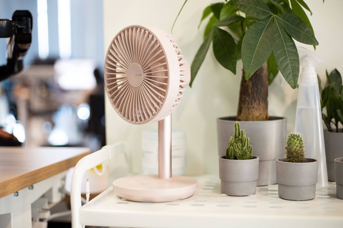 laura lojko tweet media