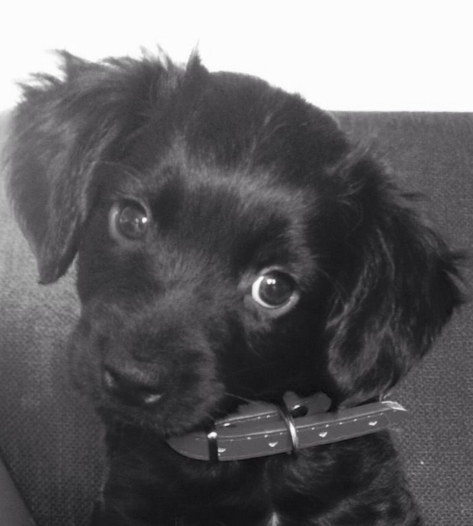 : ̗̀➛ tweet media