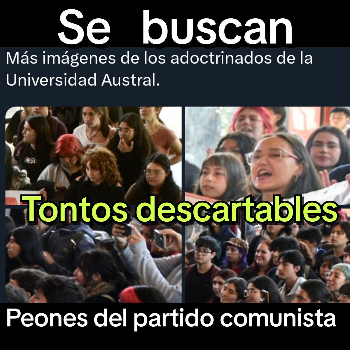 GonzaloDM111's tweet photo. Porque reclaman ahora sí hace menos de un mes estaba el merluzo Boric a cargo?
Los viejos del partido comunista mandaron a su TONTOS UTILES A HACER EL TRABAJO SUCIO.

#IzquierdaFascistaYGolpista

Expulsen  universidad austral
ministra de ciencias https://t.co/5yU8JFgXww