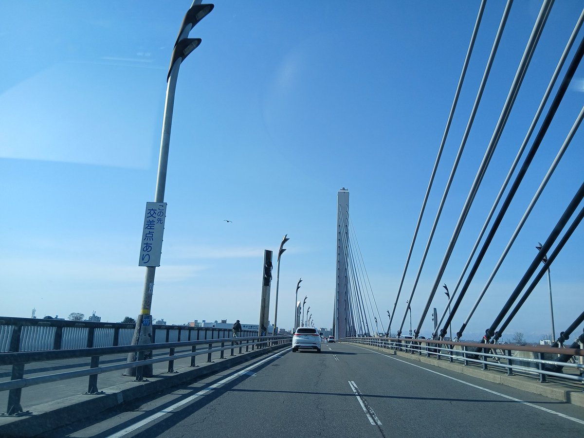 くまヌコAndy@tokachi streamer🐻🐱🎤✨ tweet media