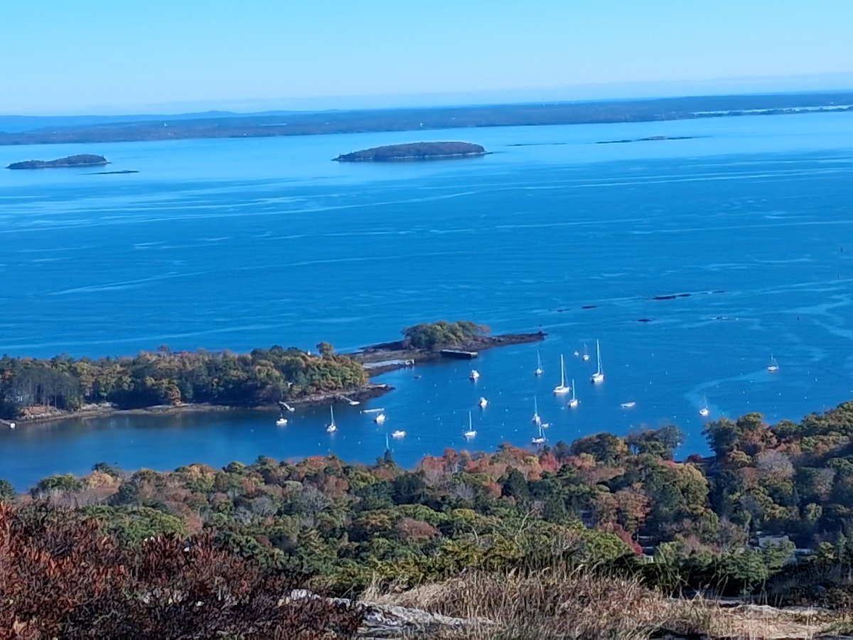 Lisa S. Belanger, Thecourtracket.com tweet media