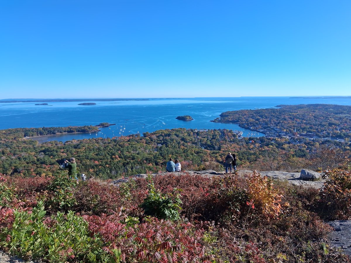 Lisa S. Belanger, Thecourtracket.com tweet media