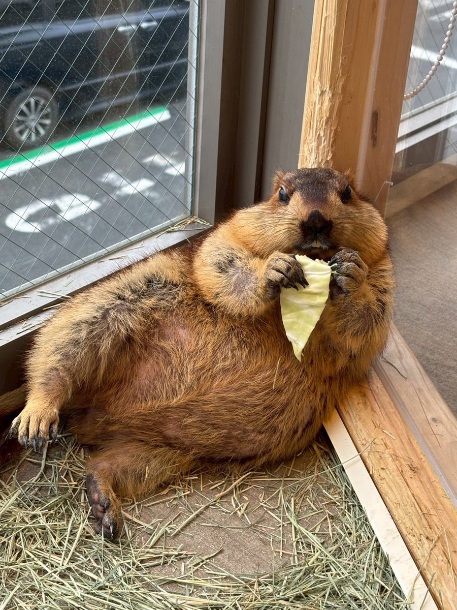 南駆流P tweet media