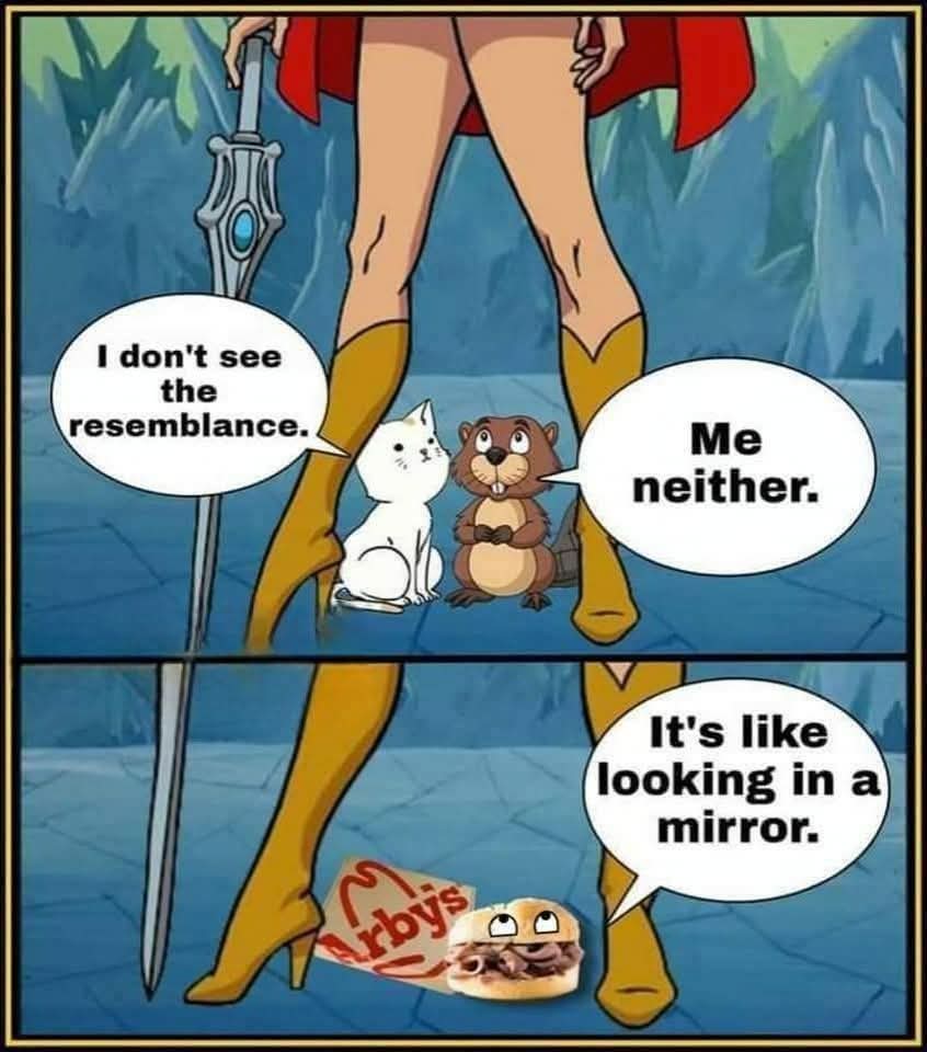 🫣🤣🤣🤣
