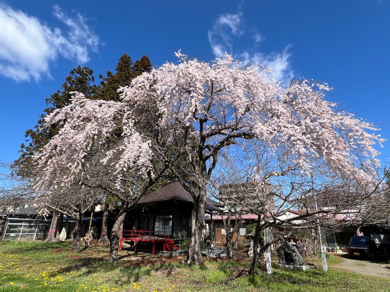 風の時編集部／佐藤正実 tweet media