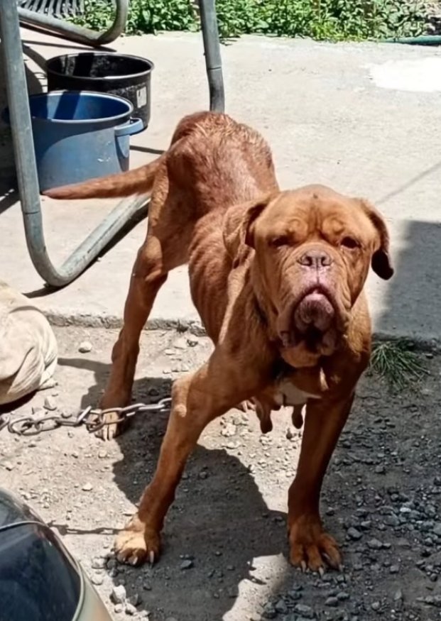 Bastet 🐈⬛🙌🏻🖤☕🍷🐾😺 tweet media