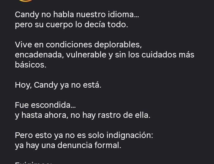 Bastet 🐈⬛🙌🏻🖤☕🍷🐾😺 tweet media