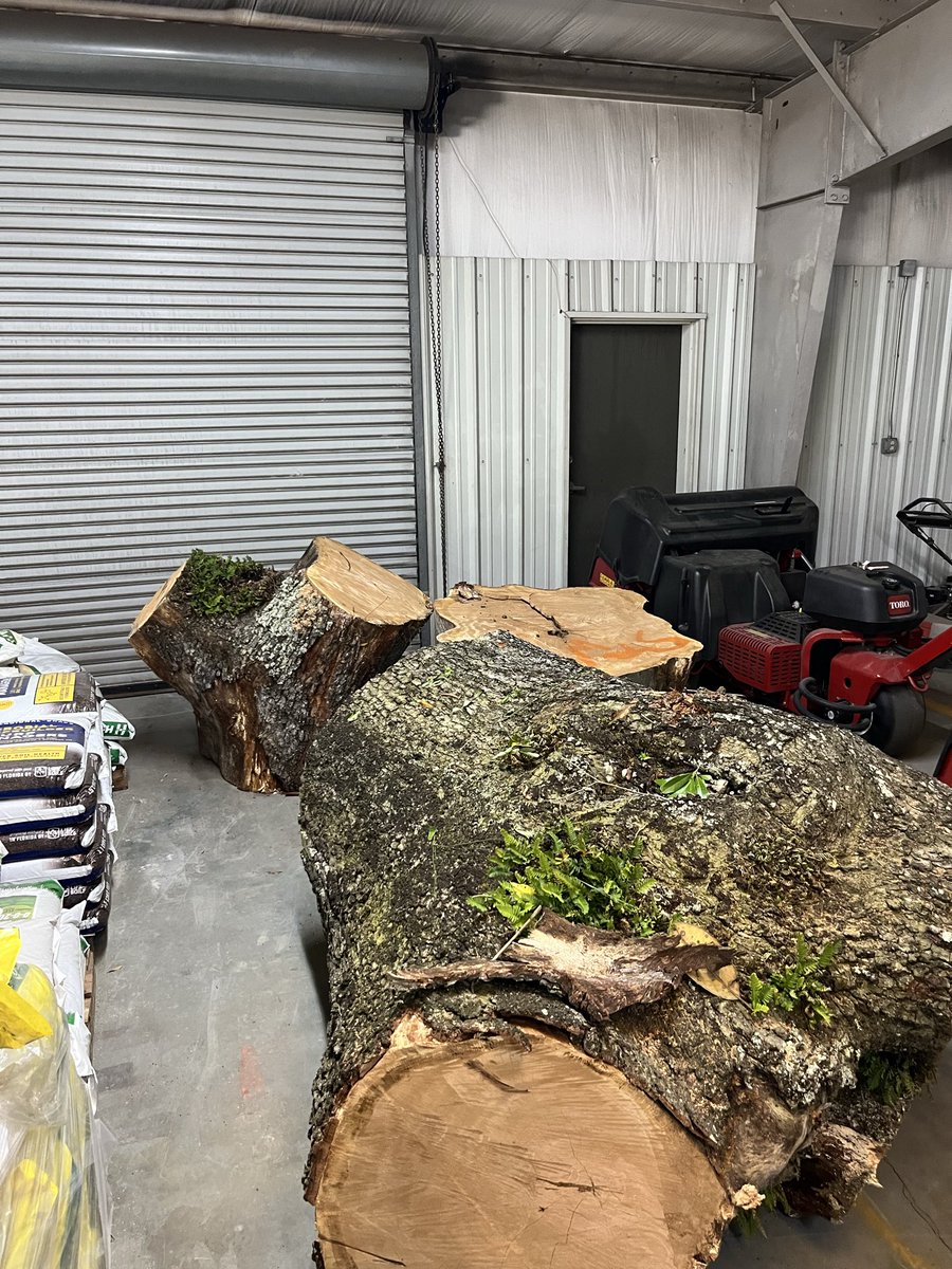 Pensacola CC Greens & Grounds tweet media