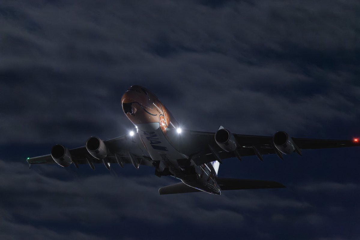 tomo✈🍺 tweet media