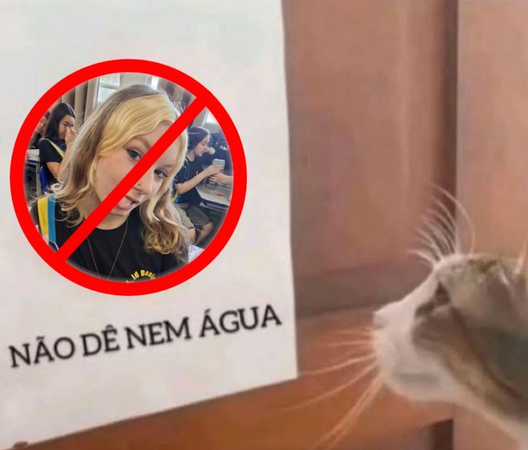 Arthur🪶🦅🦌 tweet media