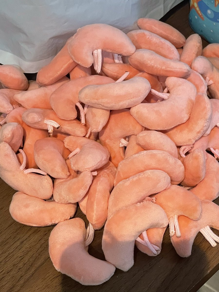 一度に作る量としては最大かも……！あと少し！🦐
