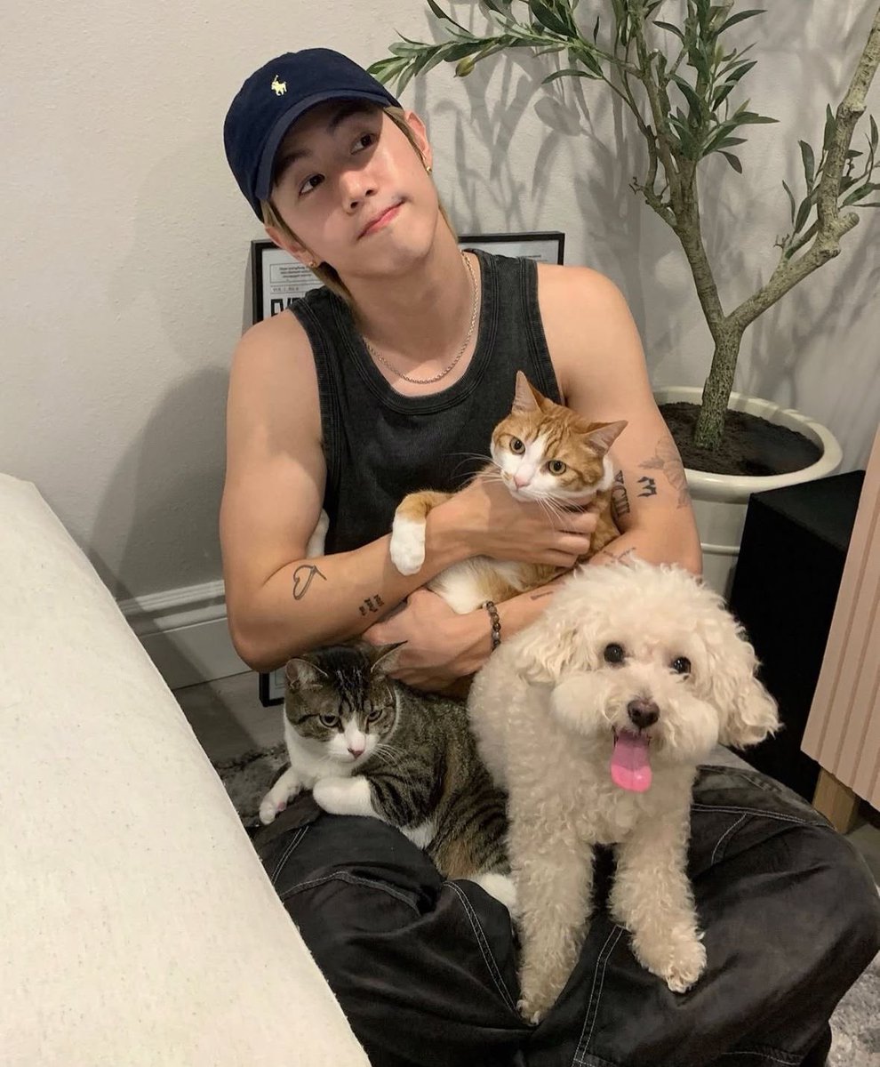 Rhys. (@ofjefferhys) on Twitter photo 