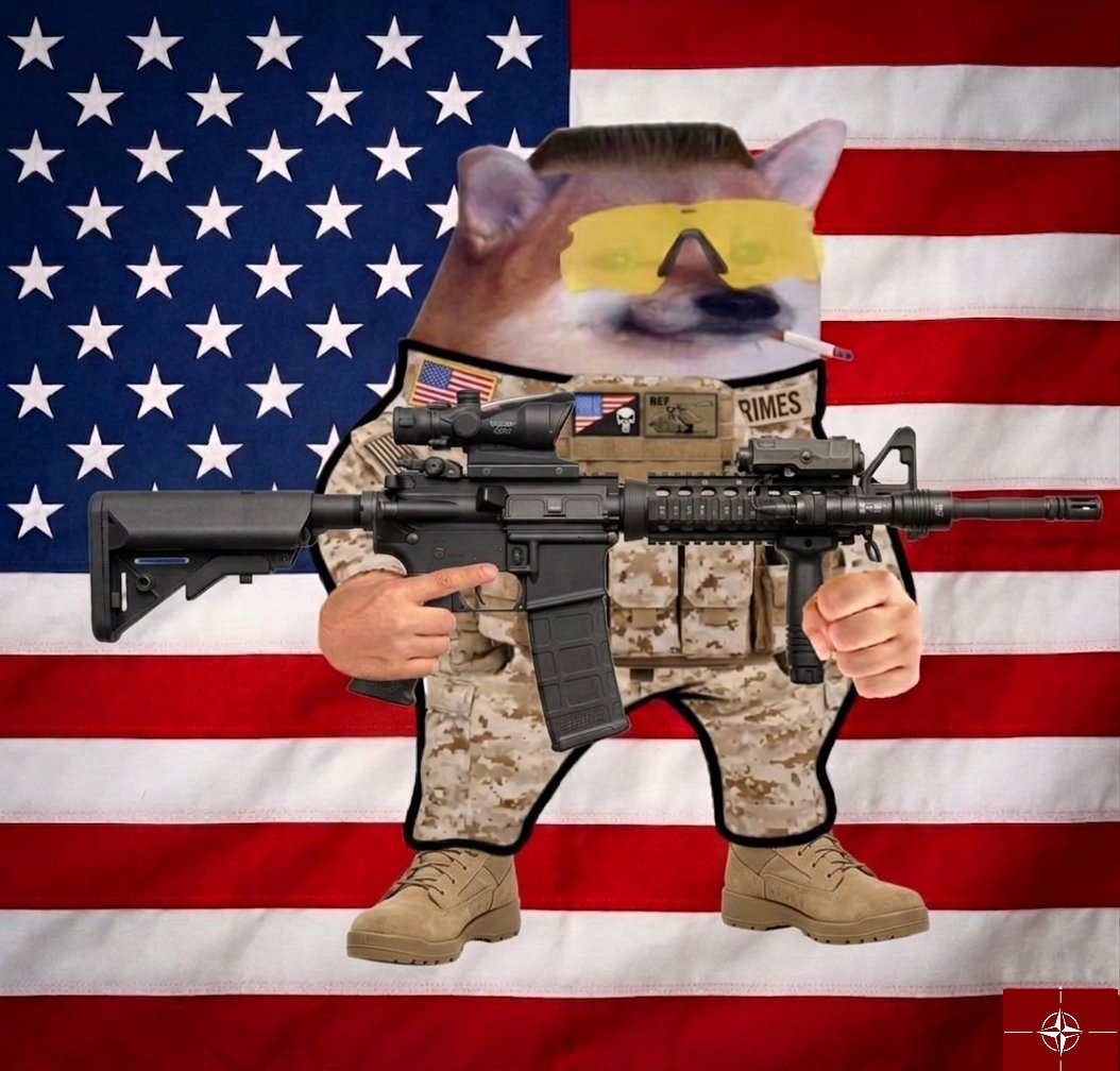 Prime Minister Brandon_fella△ 🇺🇸🇺🇦🇪🇺 tweet media