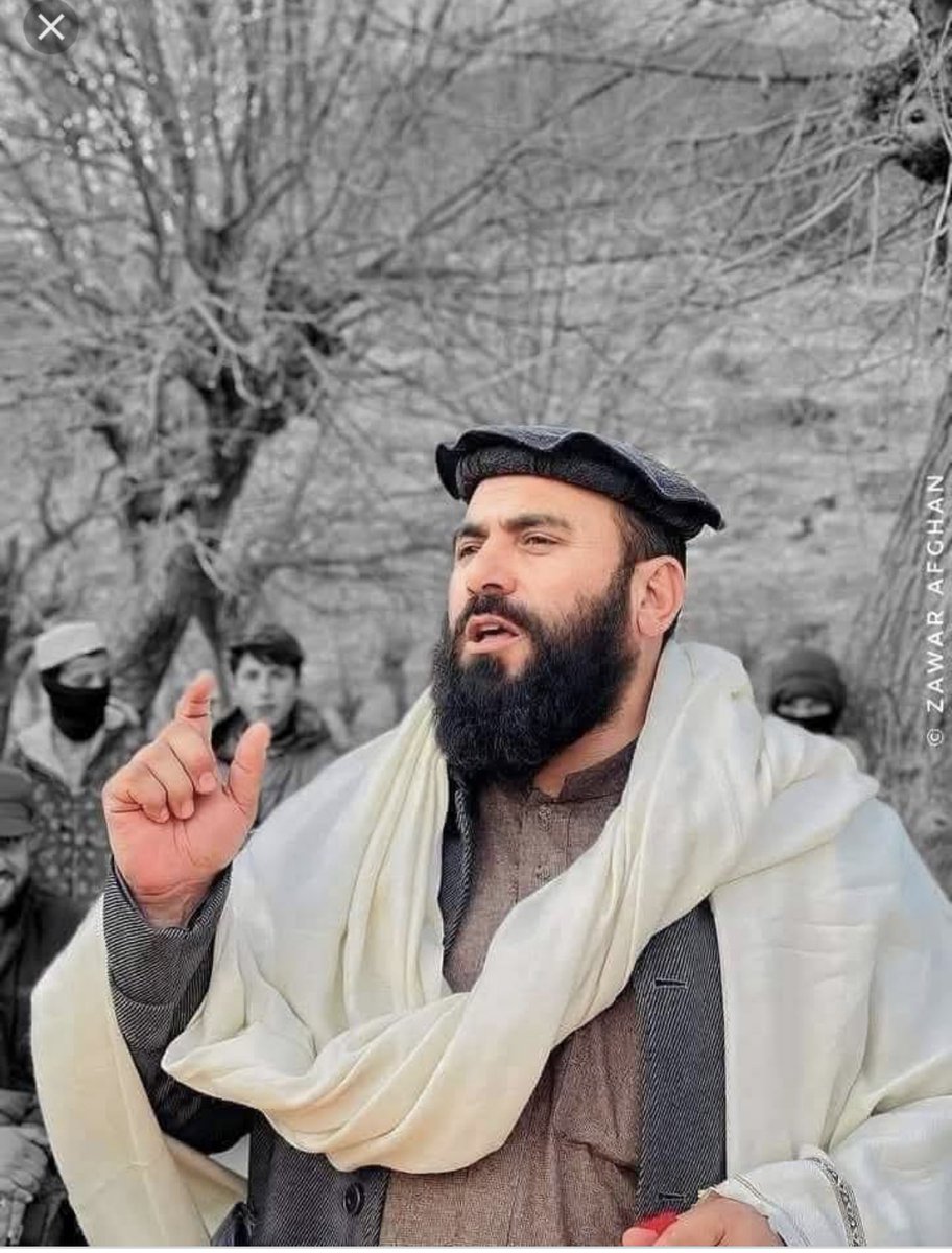 shahi sadat tweet media