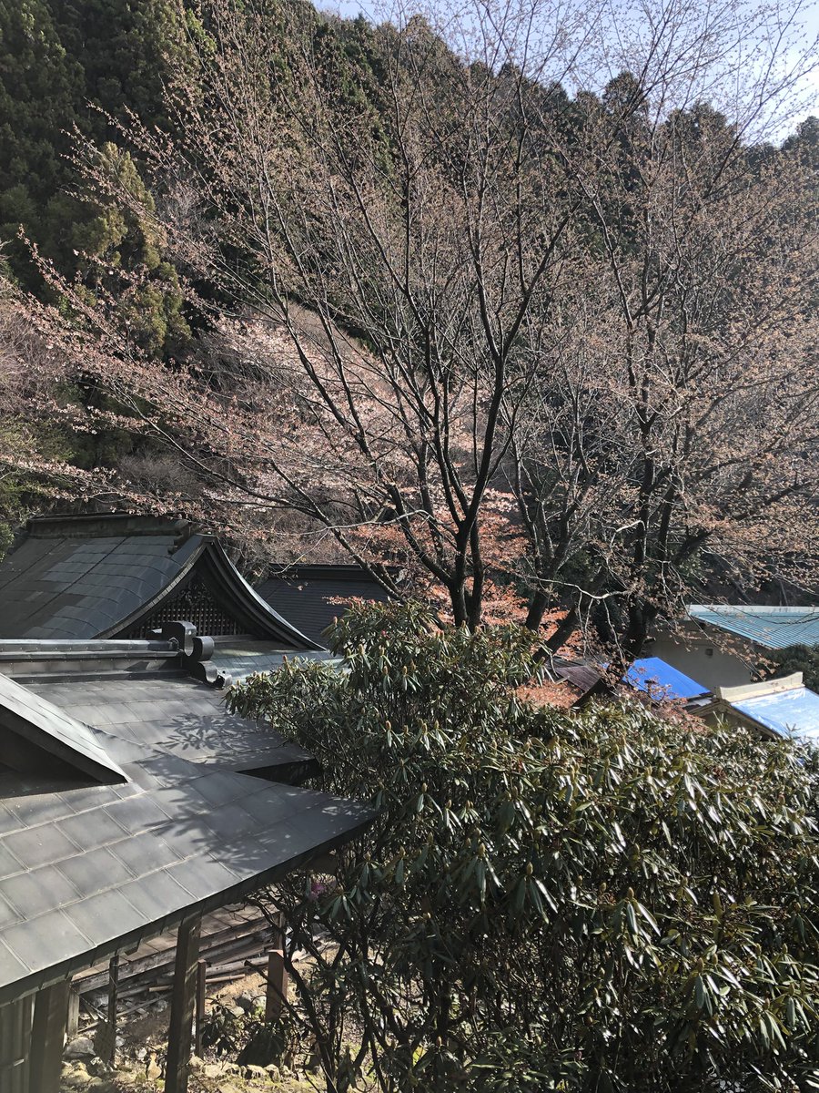 月輪寺【公式】 tweet media