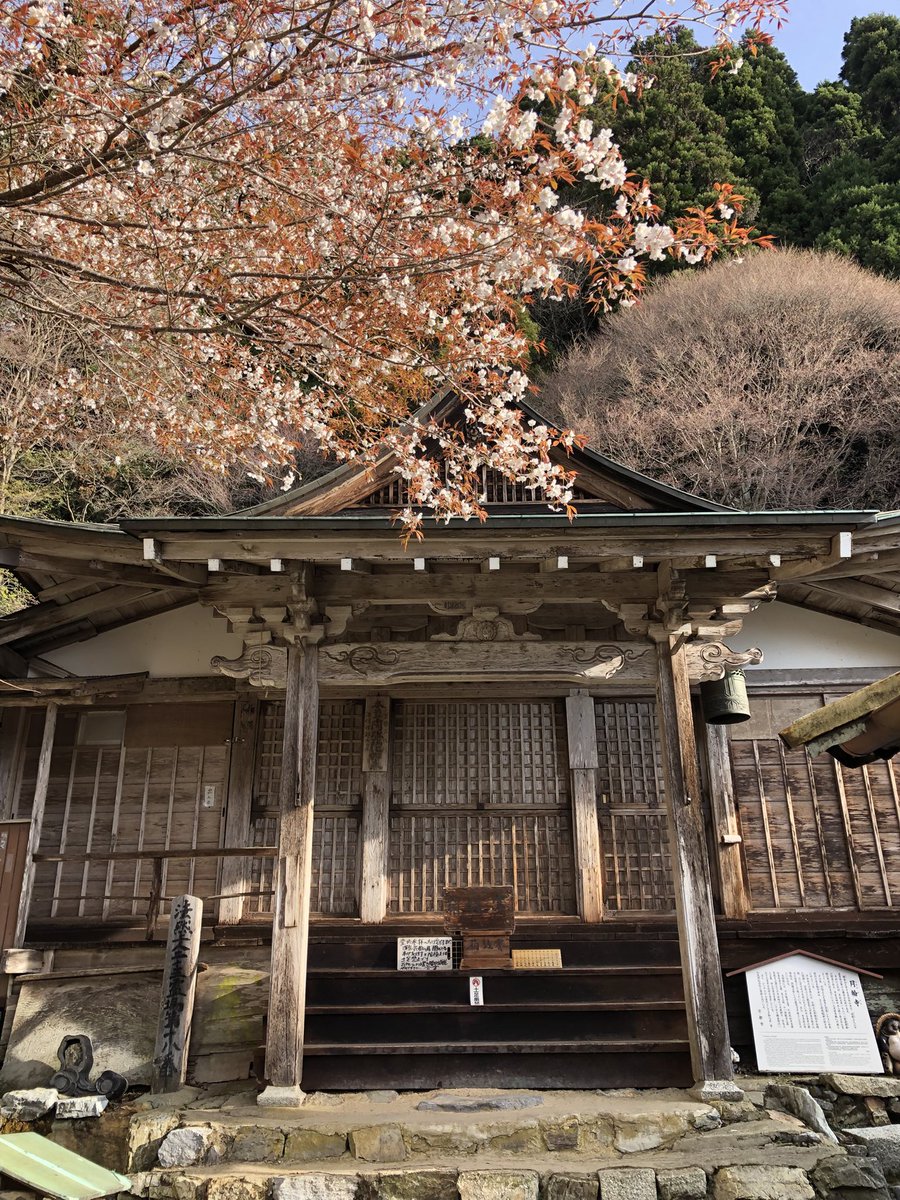 月輪寺【公式】 tweet media