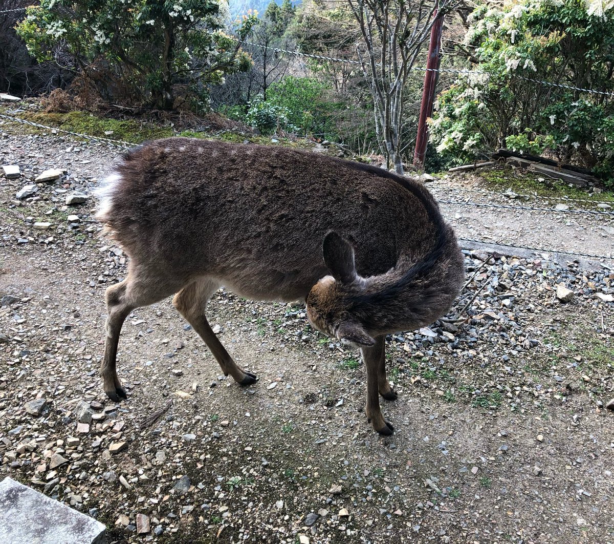 月輪寺【公式】 tweet media