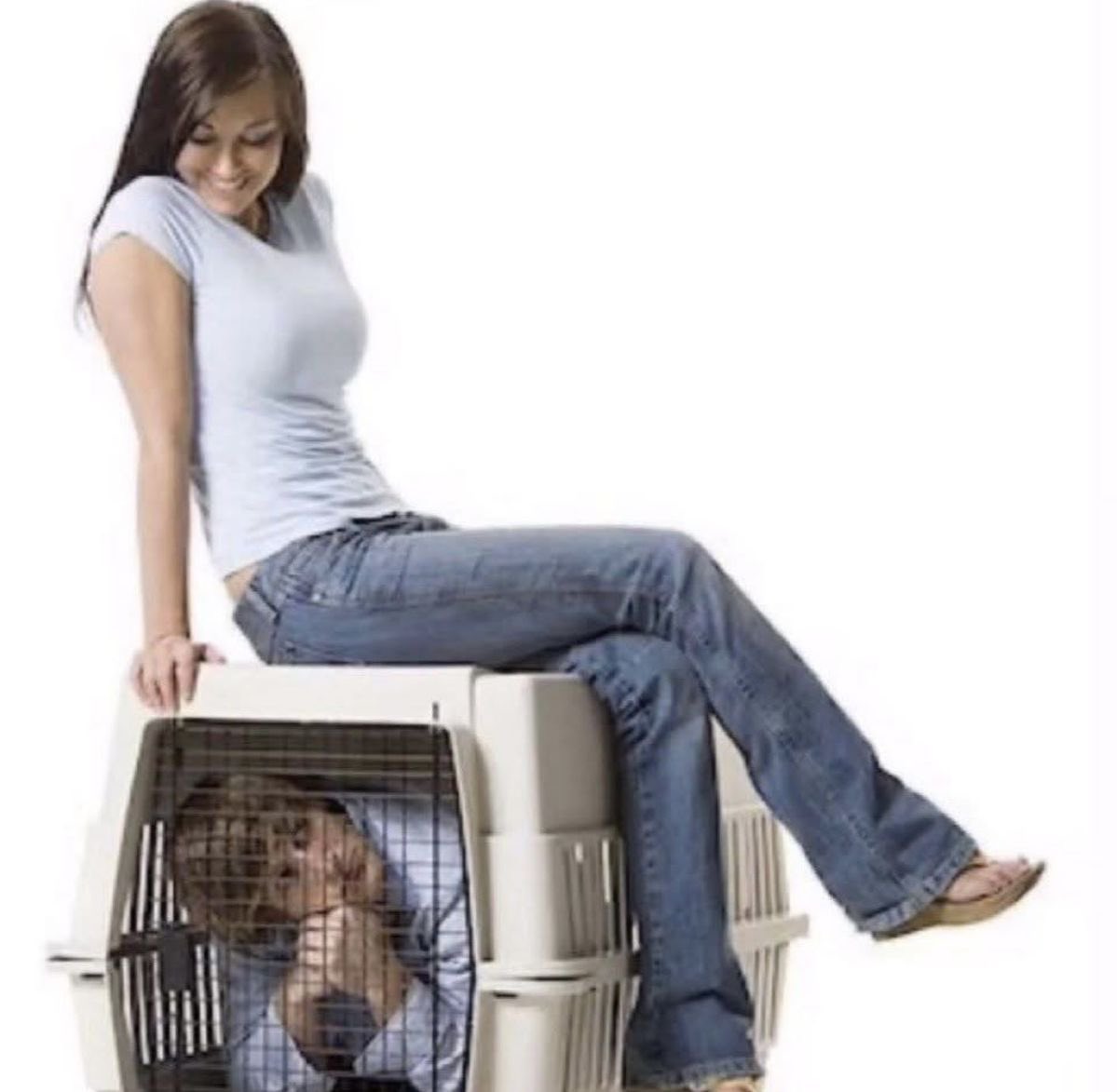 🫧 Sue tweet media