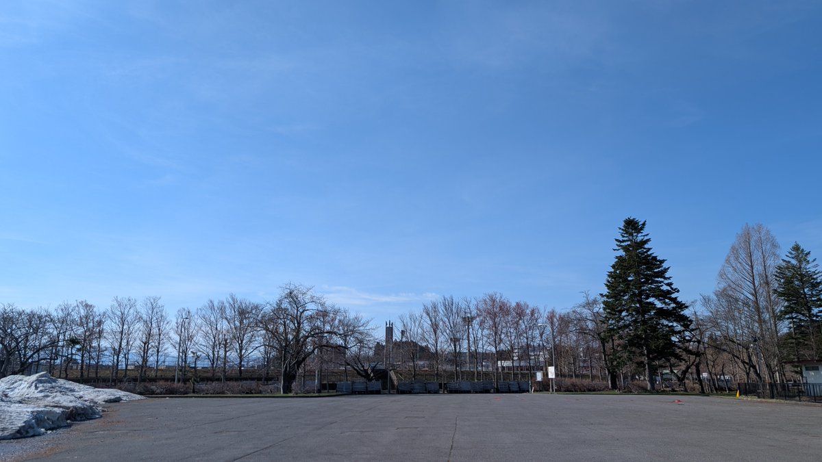 りんごちゃん🍎 tweet media