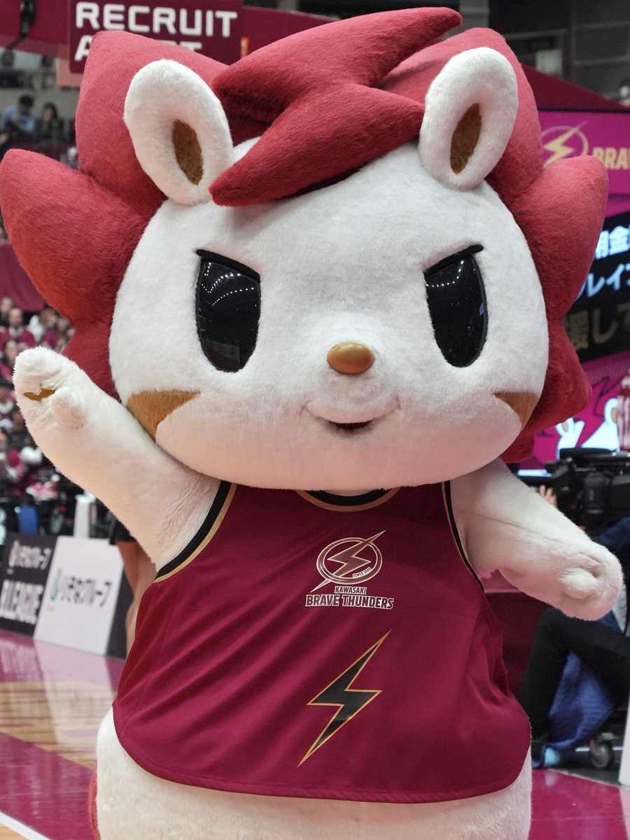 うみがめ tweet media