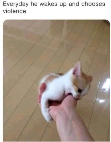 Philipp Silver tweet media