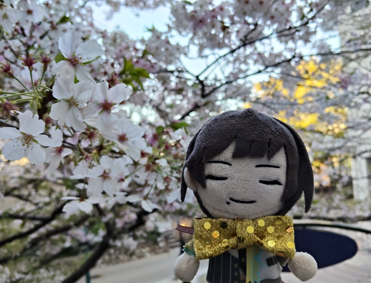 ひとぴ tweet media