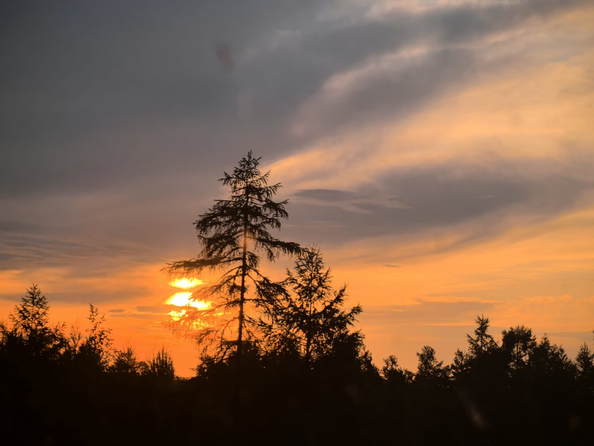 Alina Sosipatrova tweet media