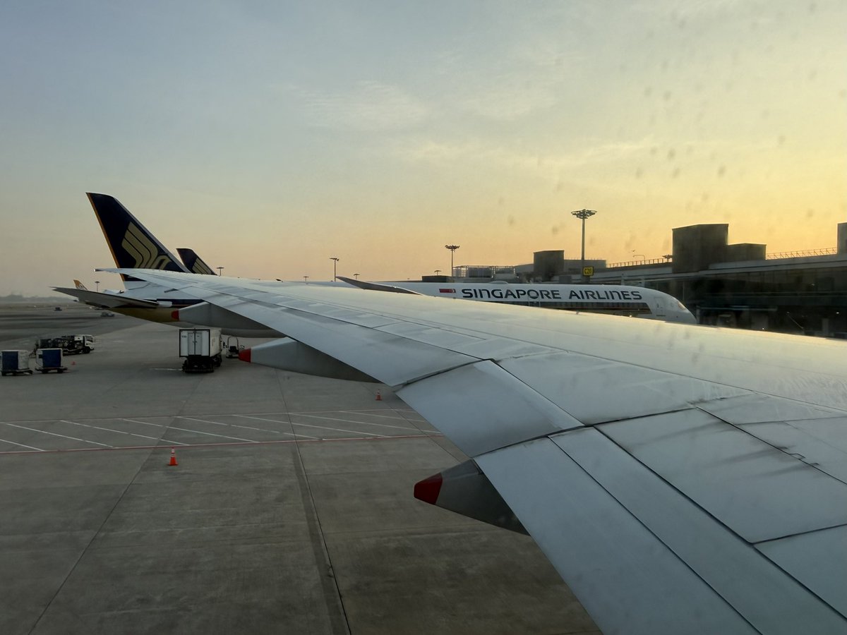 vanxyrus tweet media