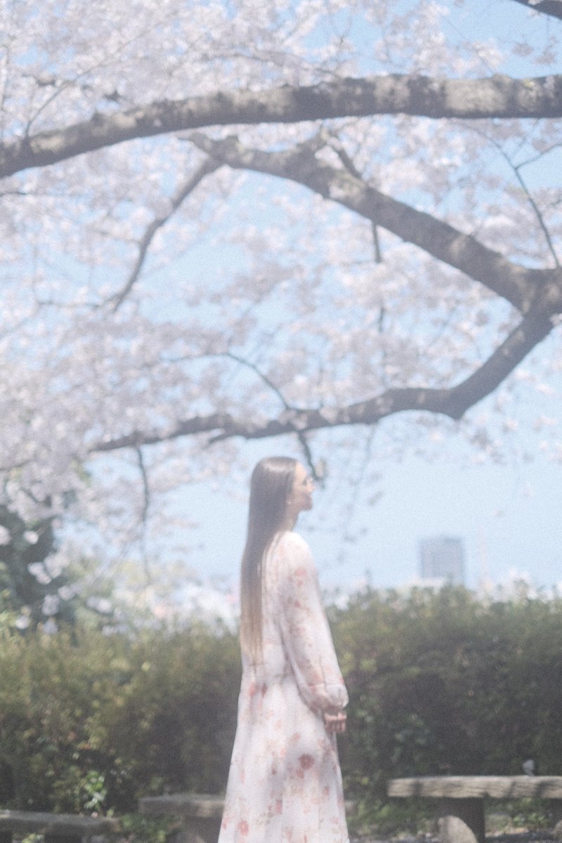 momochaaanmac's tweet photo. 淡く
#風景スナップ #スナップ #snap
#桜 #花 #Flower #舞鶴公園
#X_Pro3 #FUJIFILM
#写真好きな人と繋がりたい https://t.co/4cVAxabg6w