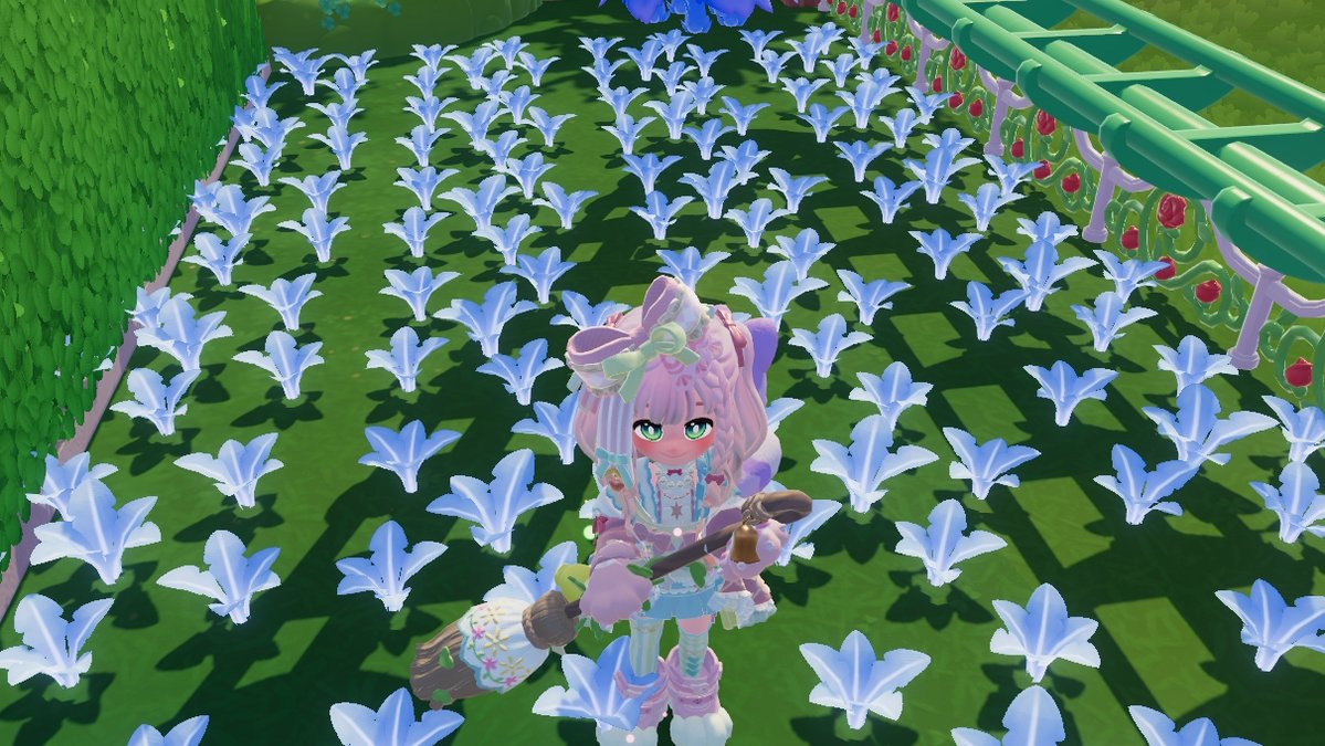 猫好き勝手気まま新人 ぷり tweet media