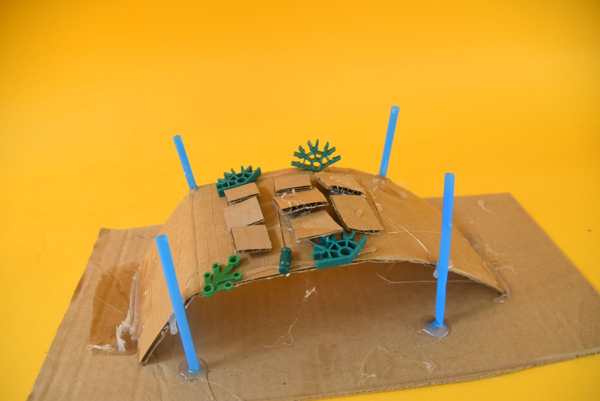 Ciongoli Center for Innovation (CCI) tweet media