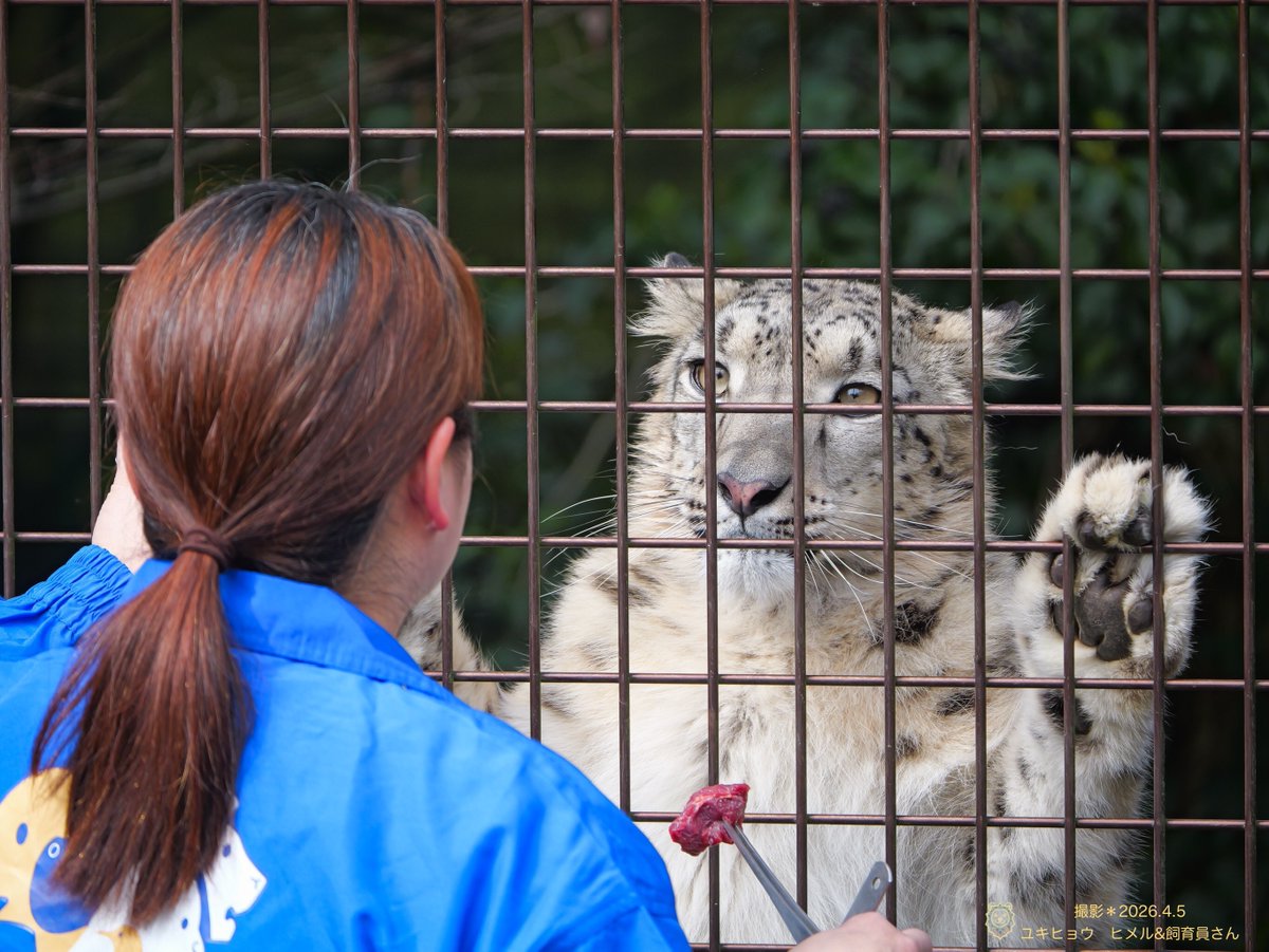 つきよまる🦁❣️🦁 tweet media