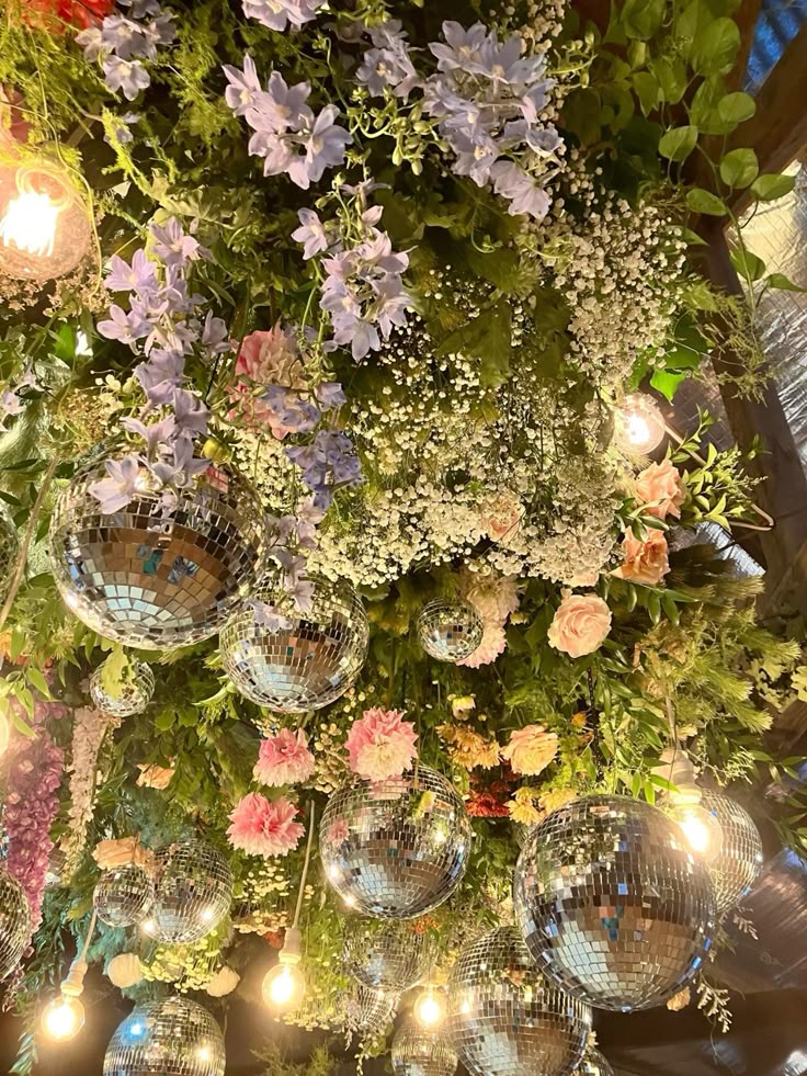 ‎✾ 𝒕rem bα̃o. tweet media