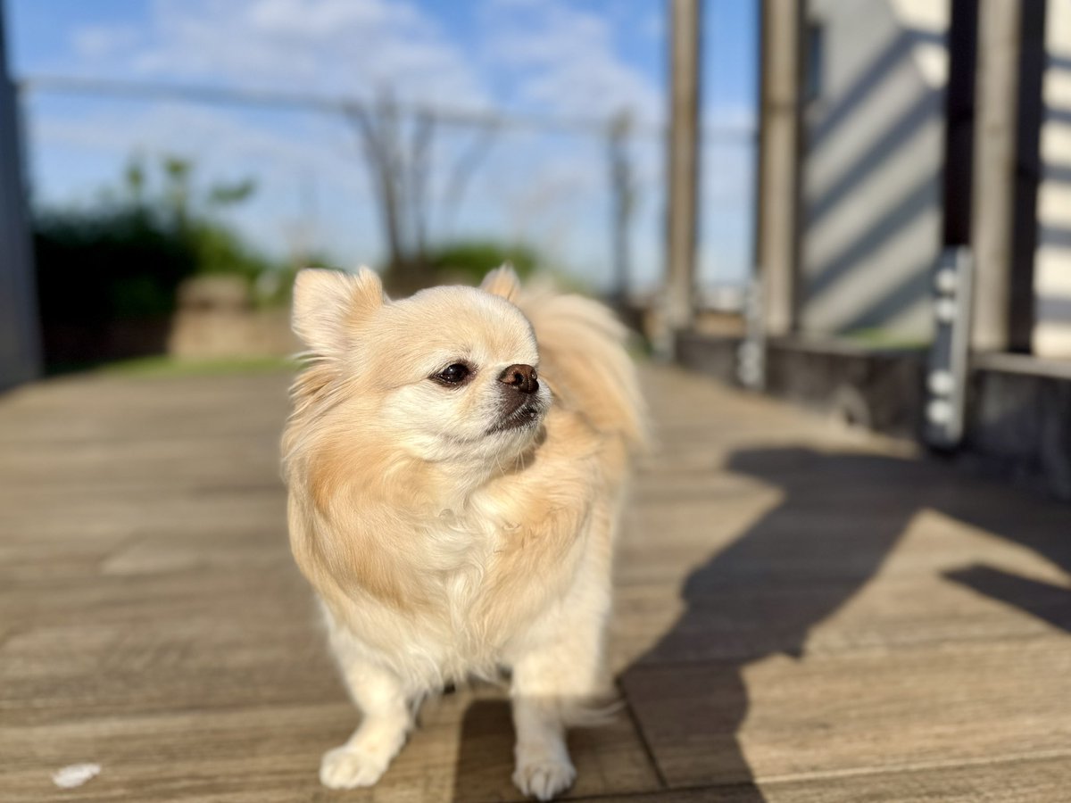 ぱぱさん⭐︎Office AxD⭐︎papa's Bar tweet media