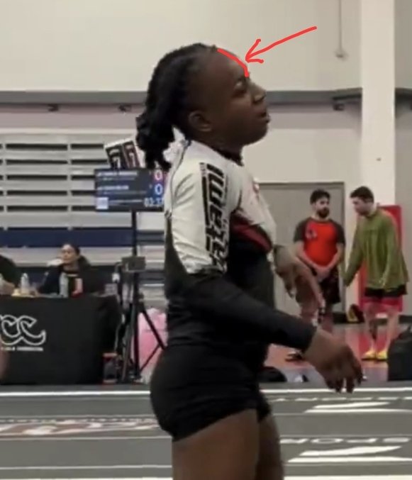 Knox of the North tweet media