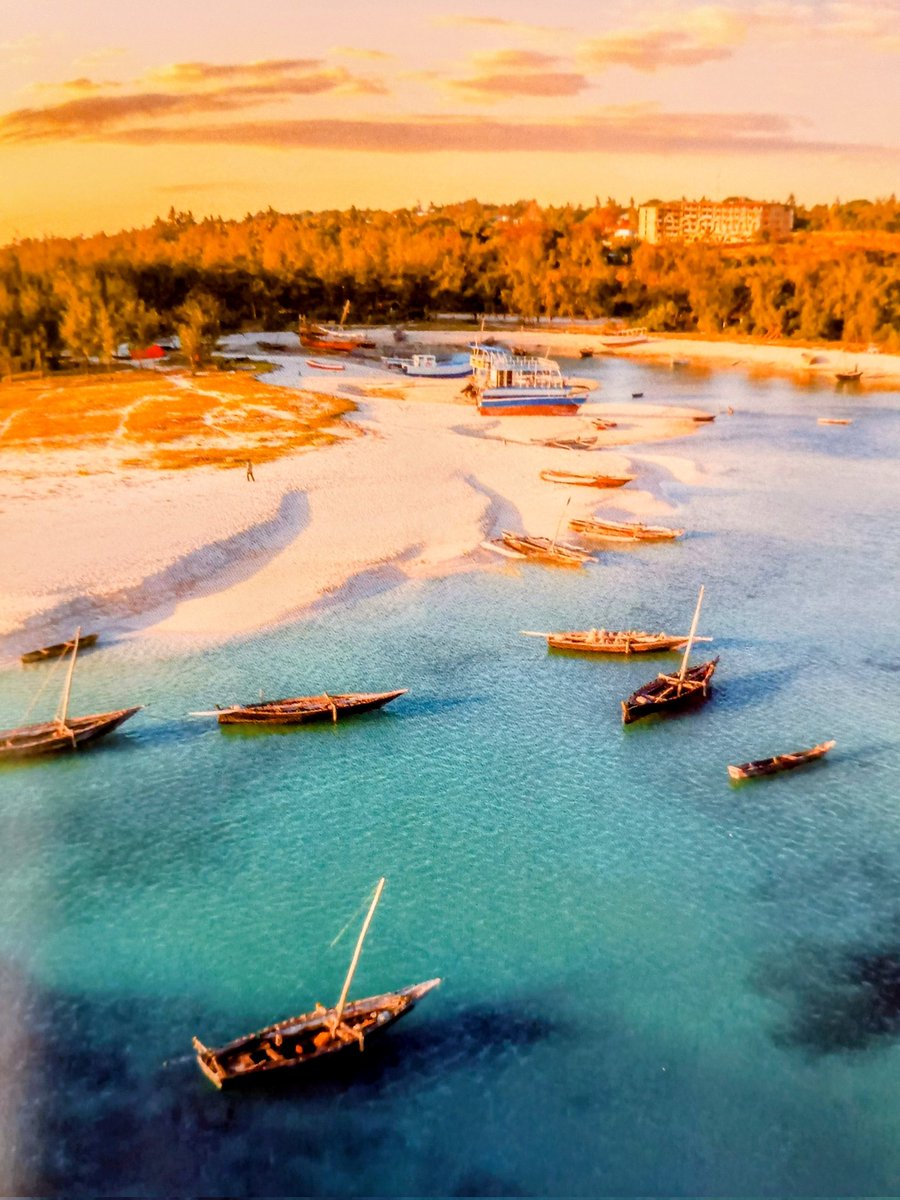 めそ友 tweet media