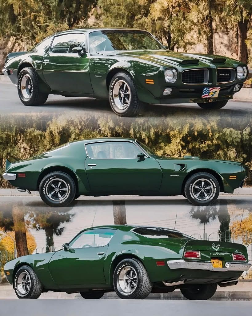 HappyMotorhead's tweet image. Like - Love - Leave? 

1973 Pontiac Firebird Trans Am: iconic early-'70s American muscle with bold styling, aggressive stance, available big‑block V8 power, and collectible appeal—classic lines that turn heads. Is this vintage beast a like, a love, or a leave? 

#TransAm