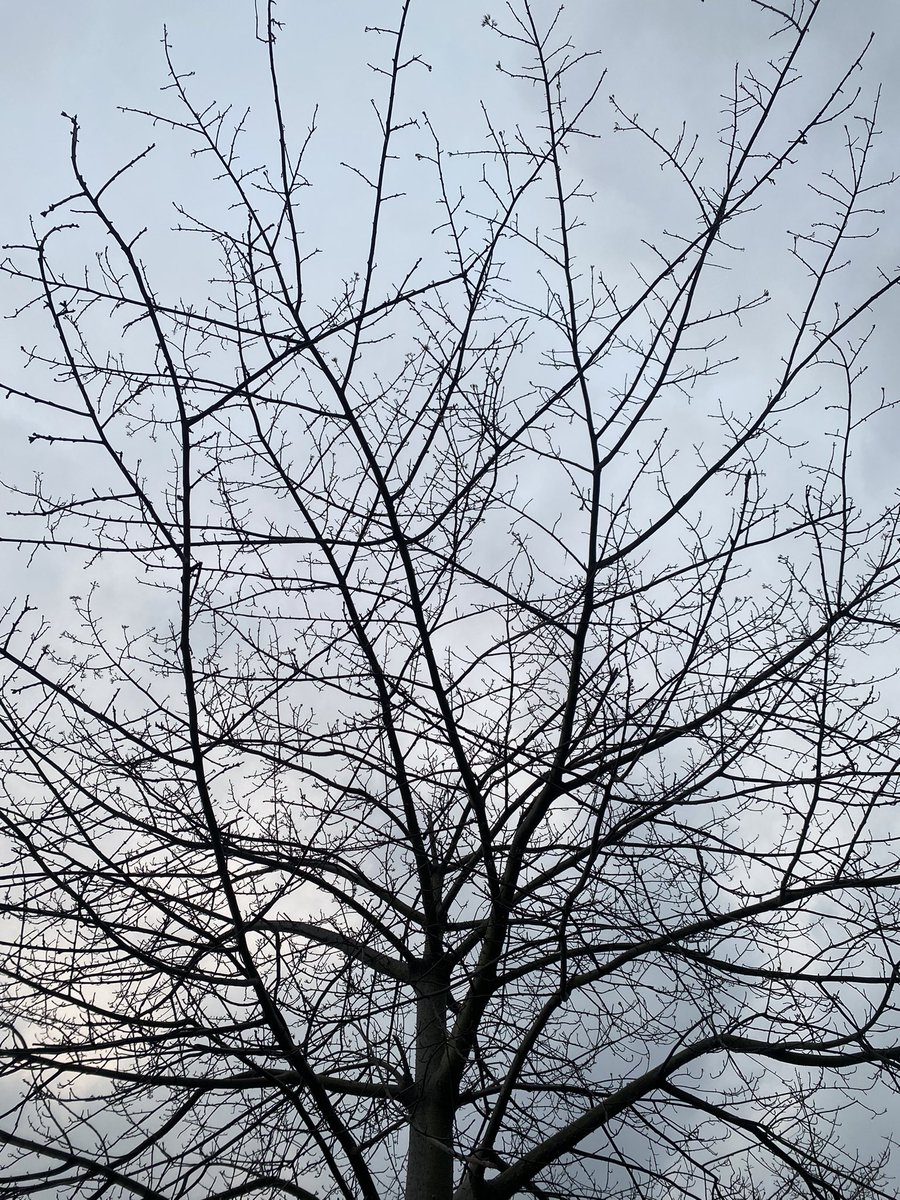 Yuki（互fo互赞） tweet media