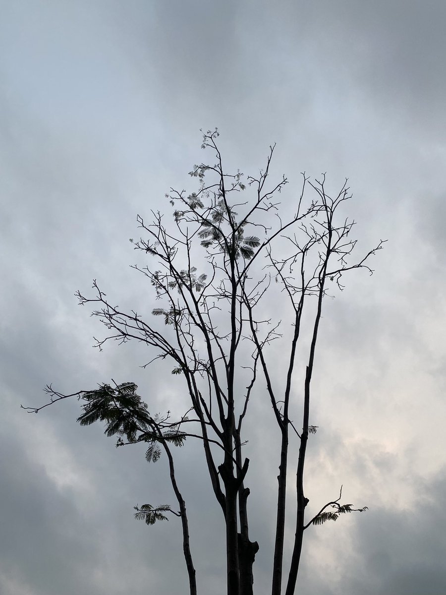 Yuki（互fo互赞） tweet media