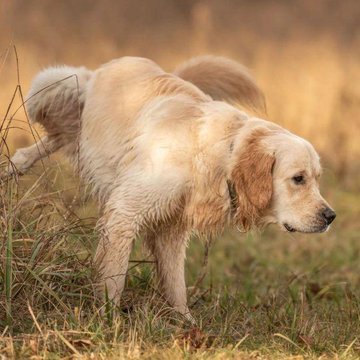 Mark Brooks tweet media