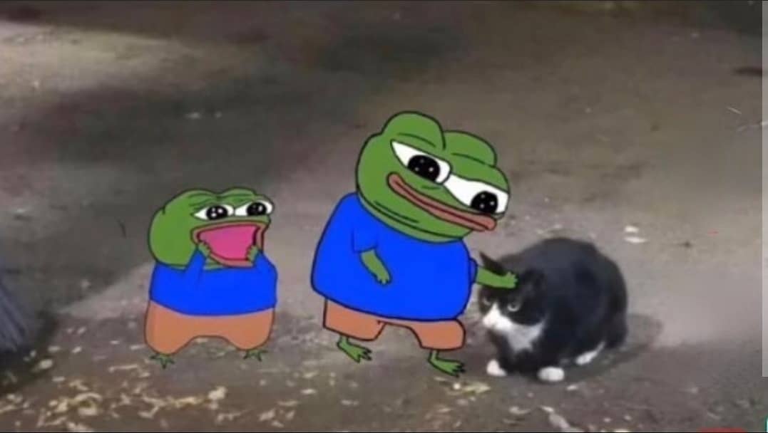 Punch Cat tweet media