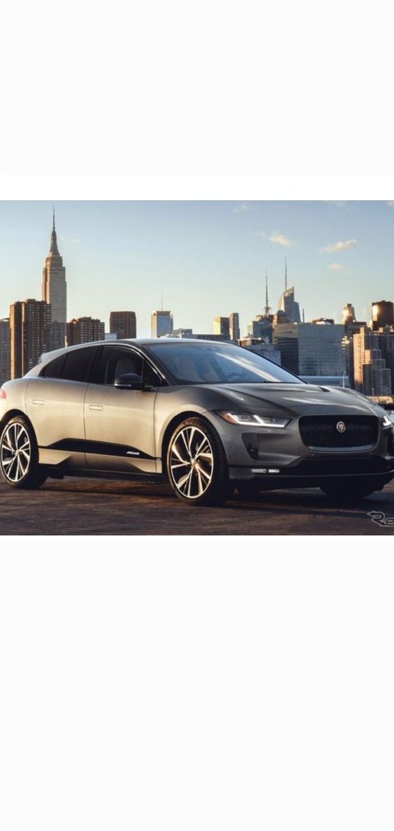 ANY🍀いつもありがとう tweet media